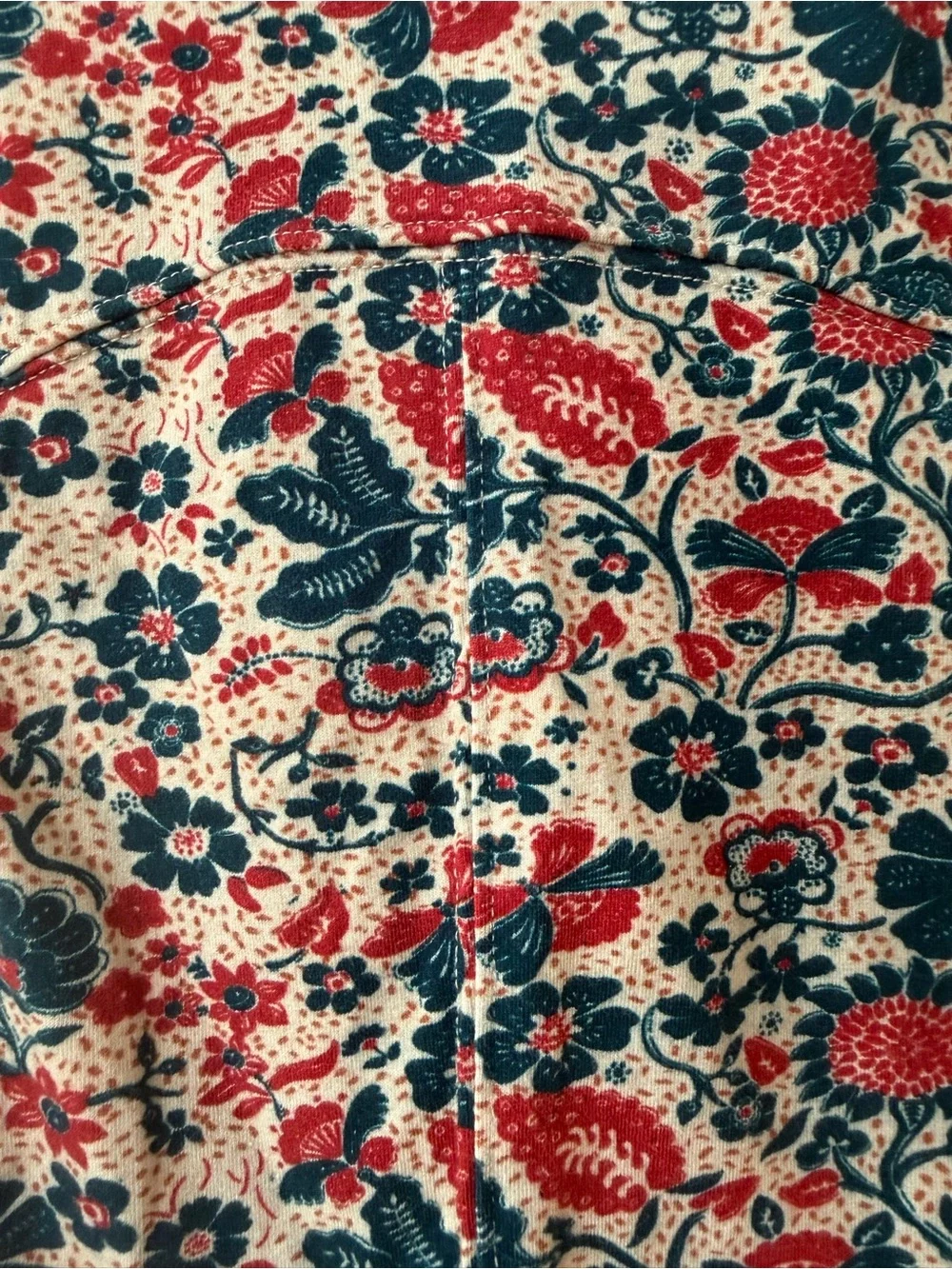 Free People Floral Long Sleeve Crisscross Crop Top - Red, Blue & Cream